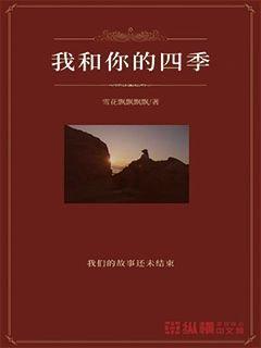 今年春运期间民航旅客量将再创新高 国航多措并举保障旅客出行