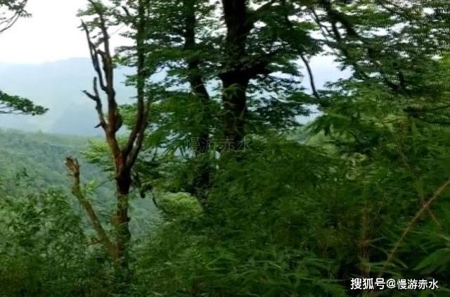 女孩巴厘岛度假
